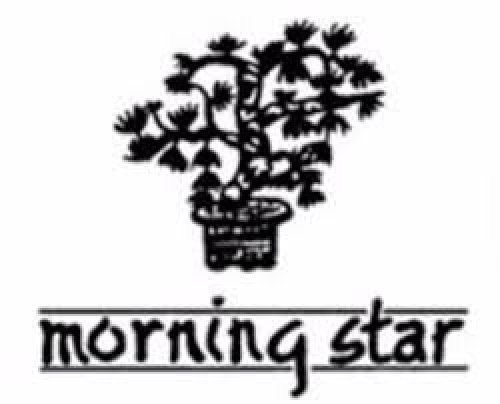 Morning star