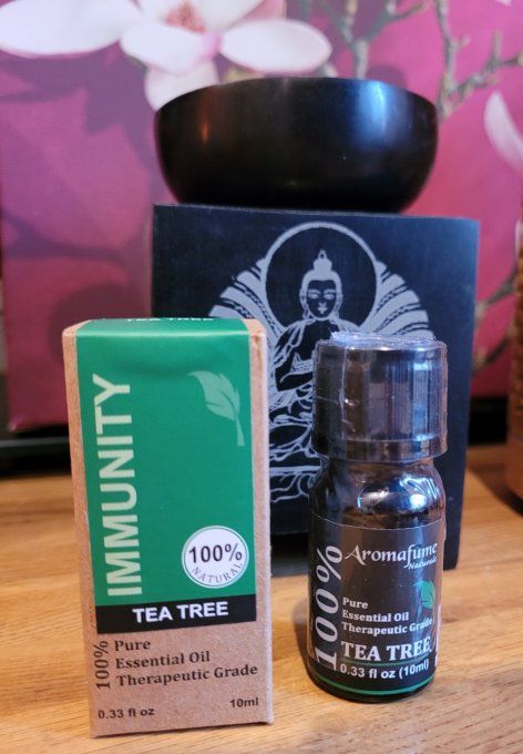 huile-essentielle-arbre-à-thé-tea-tree
