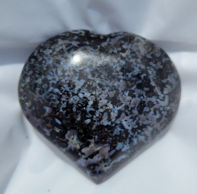Coeur en Gabbro 134 grammes Largeur 68mm