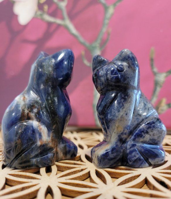 chat-sodalite