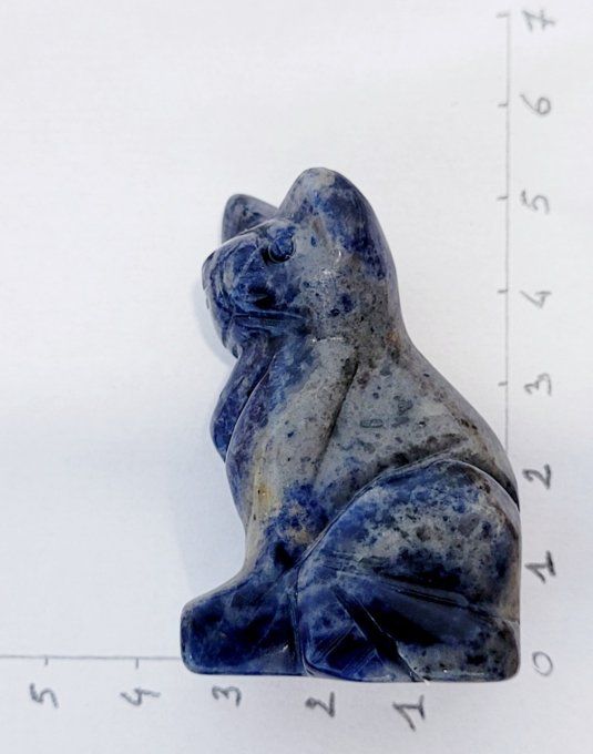 chat-sodalite