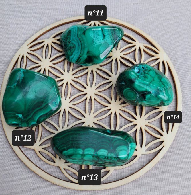 Malachite formes libres ( 4 modèles) 