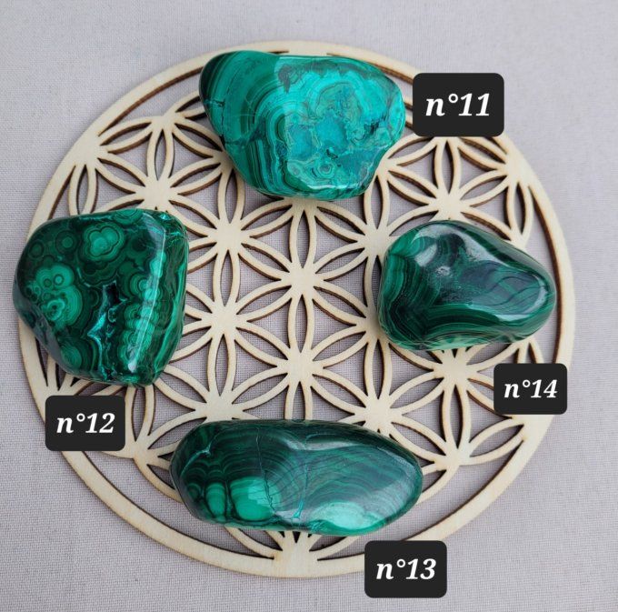Malachite formes libres ( 4 modèles) 