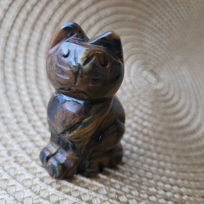 Chat en œil de tigre