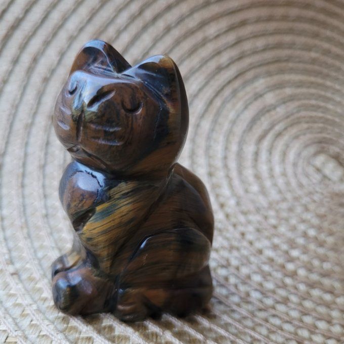 Chat en œil de tigre