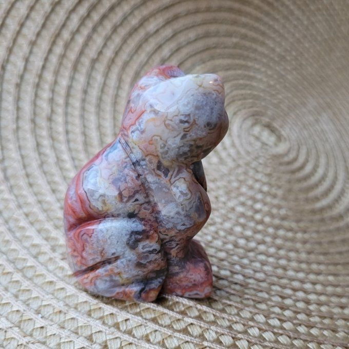 Chat en Agate Crazy Lace