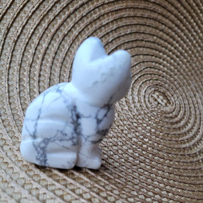 Chat en Howlite