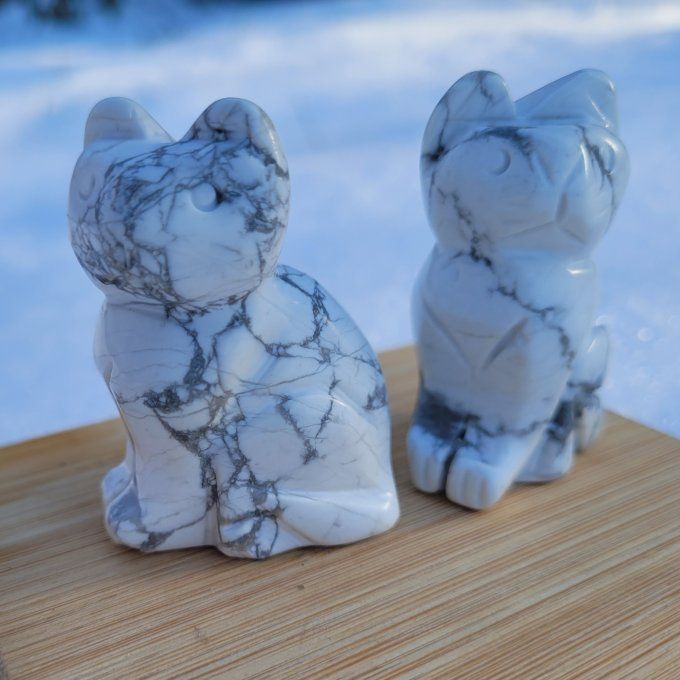 Chat en Howlite