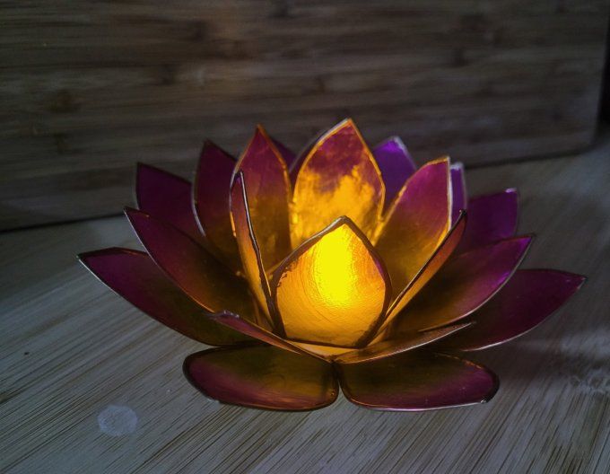 bougeoir-lotus-vert-rose