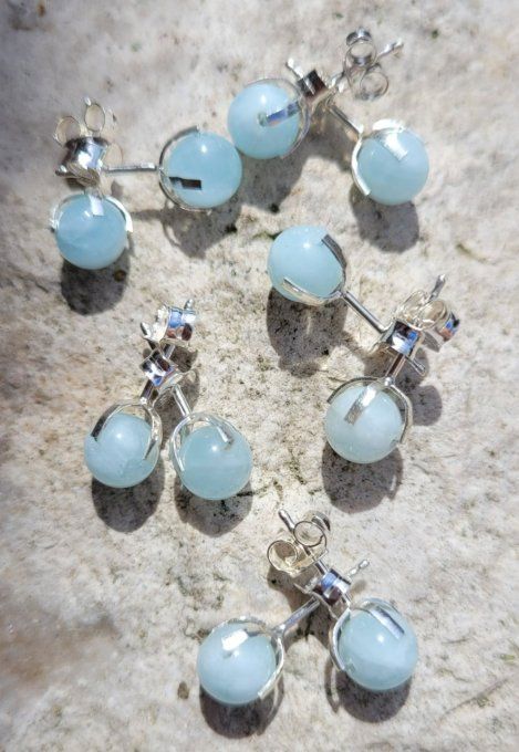 puces-oreilles-aigue-marine