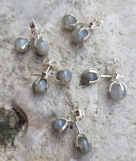 puces-oreilles-labradorite