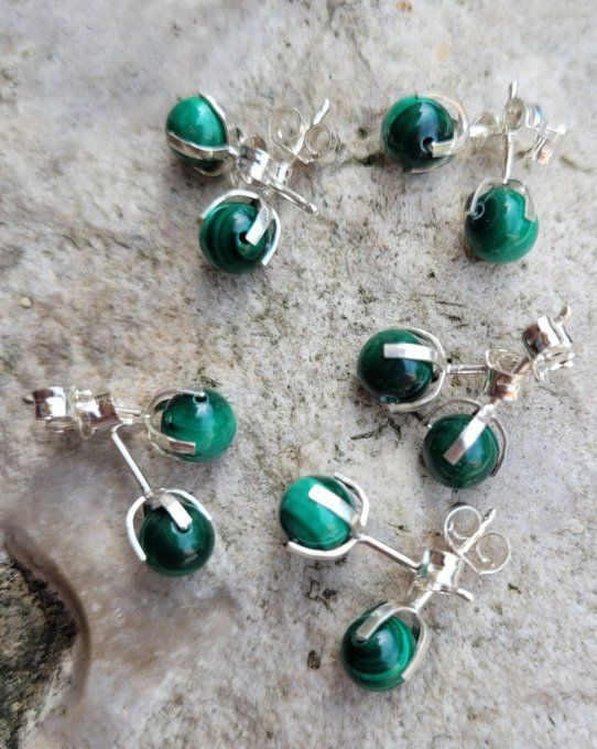 puces-oreilles-malachite